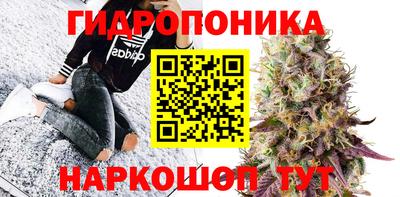 гидра Назарово