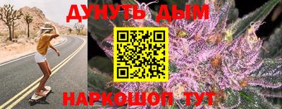 Альфа ПВП Надым