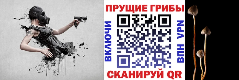 Галлюциногенные грибы GOLDEN TEACHER  omg как зайти  Алапаевск 