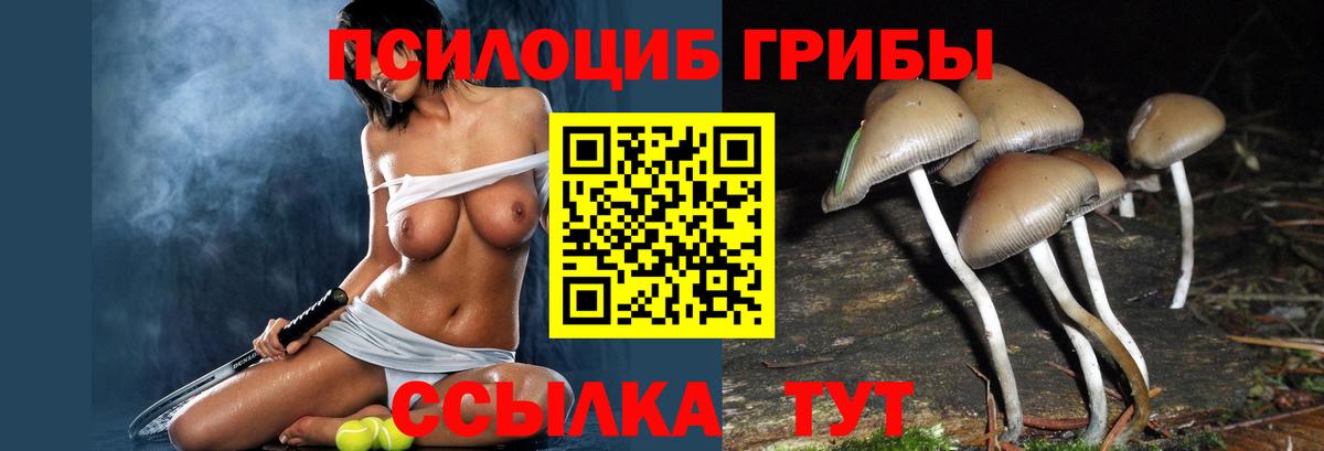 Псилоцибиновые грибы ЛСД Алапаевск