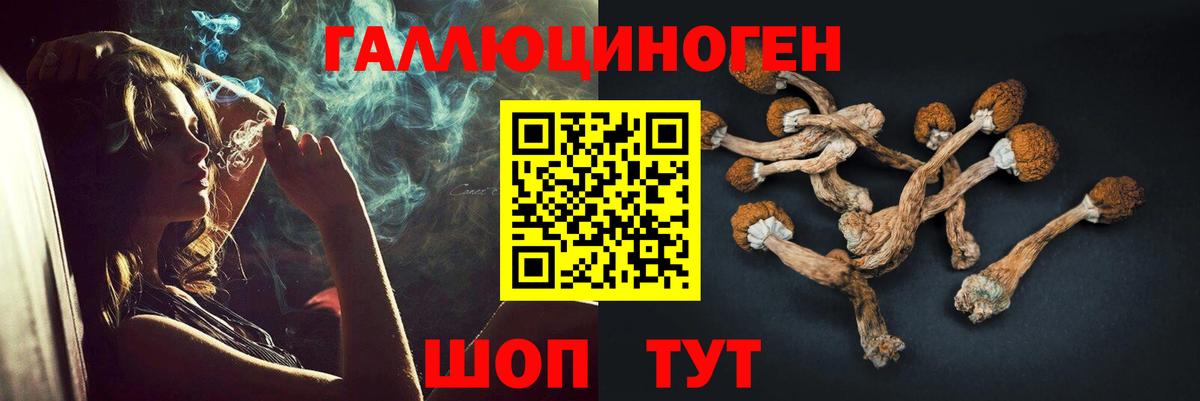 Псилоцибиновые грибы прущие грибы  Вход с VPN  Алапаевск 