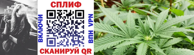 где можно купить   Алапаевск  Каннабис SATIVA & INDICA 